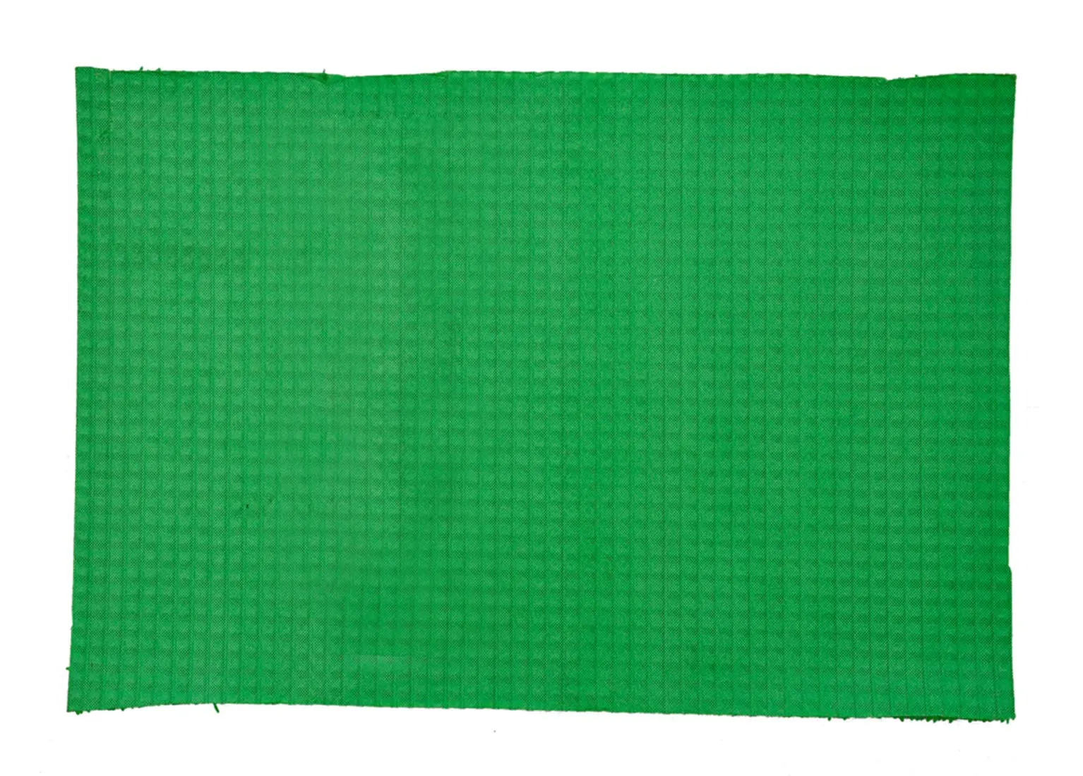 Heart Home HEART01095 PVC Thick Door Dirt Rub Off Clean/Thorn Door Mat, Dust Remover Footwear for Offices, Hotel, Restaurant, Home, Shop (Green, Standard)