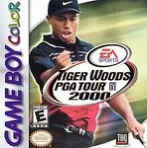 Tiger Woods 2000